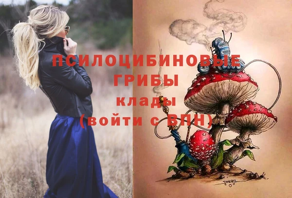 сатива Алзамай