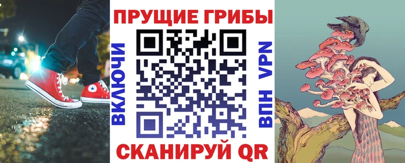 Галлюциногенные грибы MAGIC MUSHROOMS  наркота  Лесосибирск 